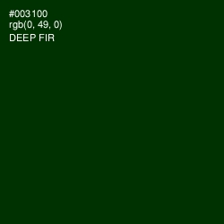 #003100 - Deep Fir Color Image